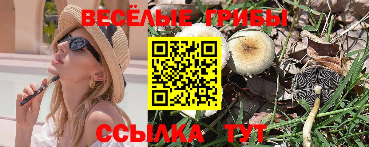Псилоцибиновые грибы мицелий Сибай