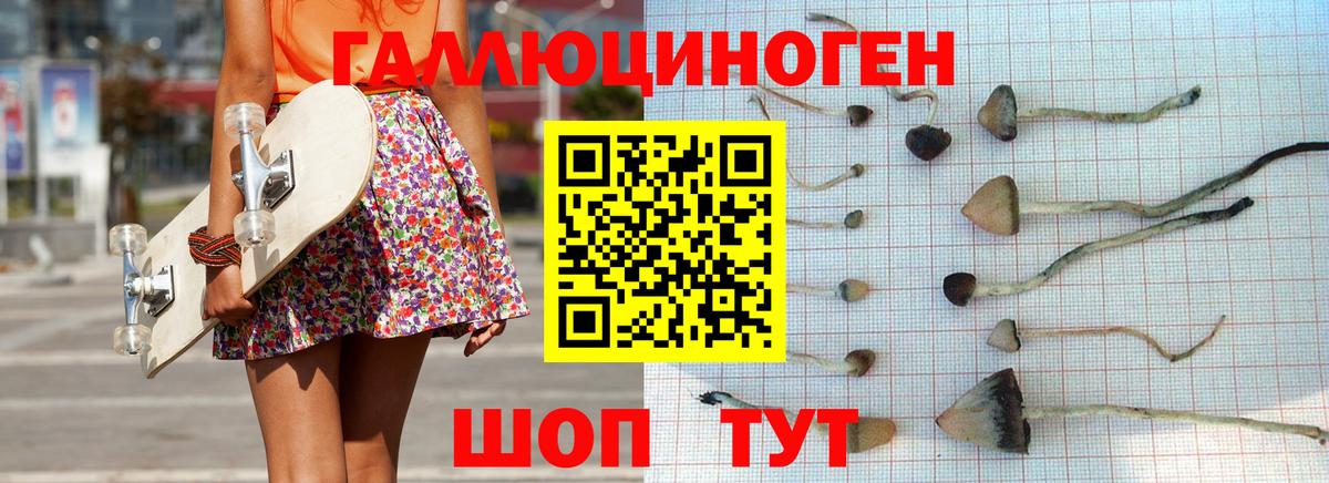 Галлюциногенные грибы MAGIC MUSHROOMS  Вход с VPN  Сибай 